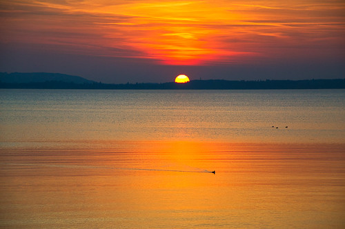 lake water shore reflection sunset sun evening march sunsetcolors duck animal hill chieming chiemsee upperbavaria oberbayern germany deutschland bavaria bayern outdoor nikond3100
