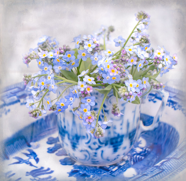 Textured forget me not square