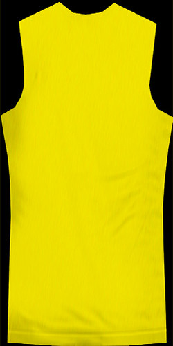 DRV Yellow T-Shirt Back (M)