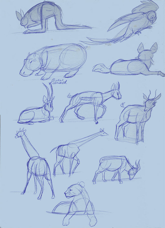 3.7.20 - Disney's Animal Kingdom Sketches