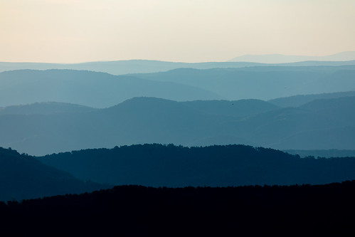 Dolly Sods Wilderness in Grant County, West Virginia | by chesbayprogram