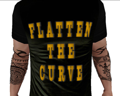 Flatten the Curve T-Shirt (M)