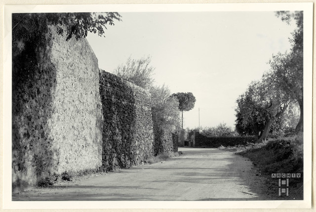 ArchivTappenV802 Landstraße bei Catania, Sizilien, 1953