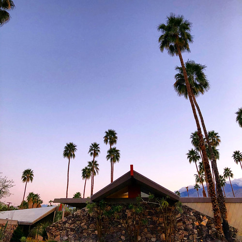 evening dusk sunset trees southerncalifornia socal california palmsprings architecture hotel palmtrees palmtree