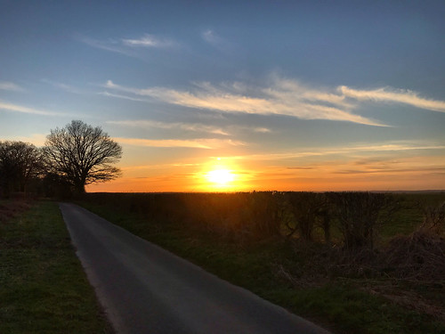 brislands lane country sunset four marks hampshire winter spring march 2020
