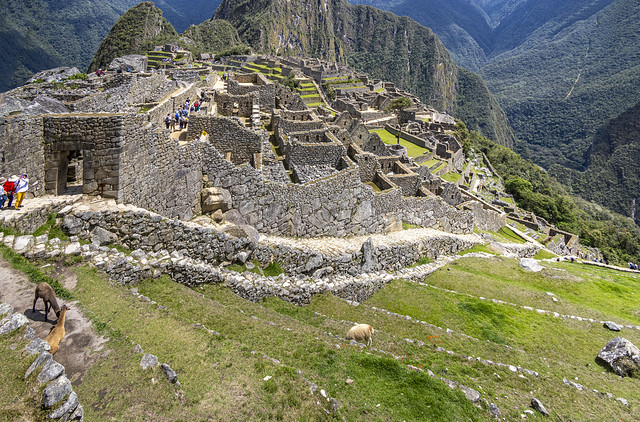 Machu Picchu (12)