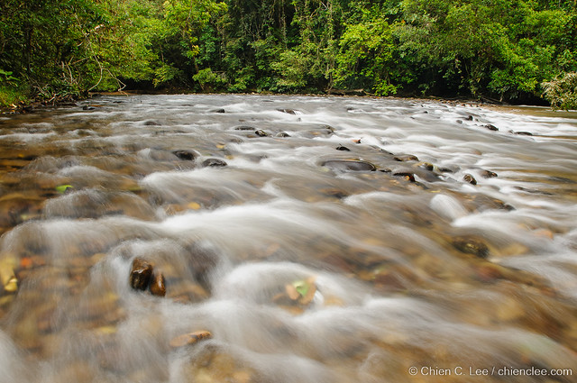 Stream in Batang Ai National Park, Borneo