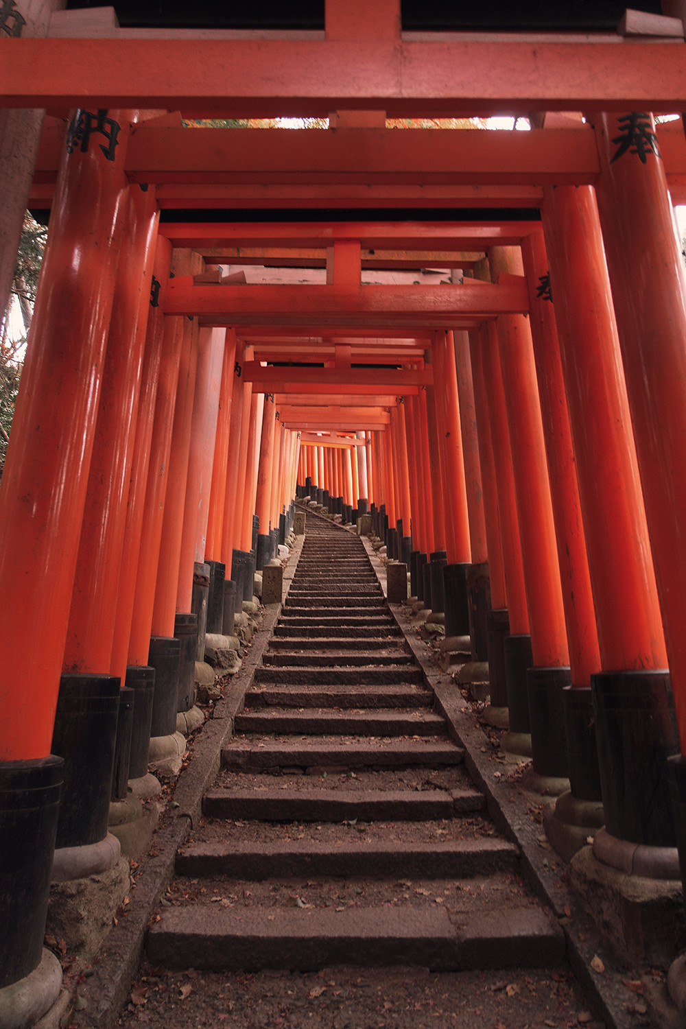 34kyoto-fushimi-inari-torii-shrine-architecture-japan-travel