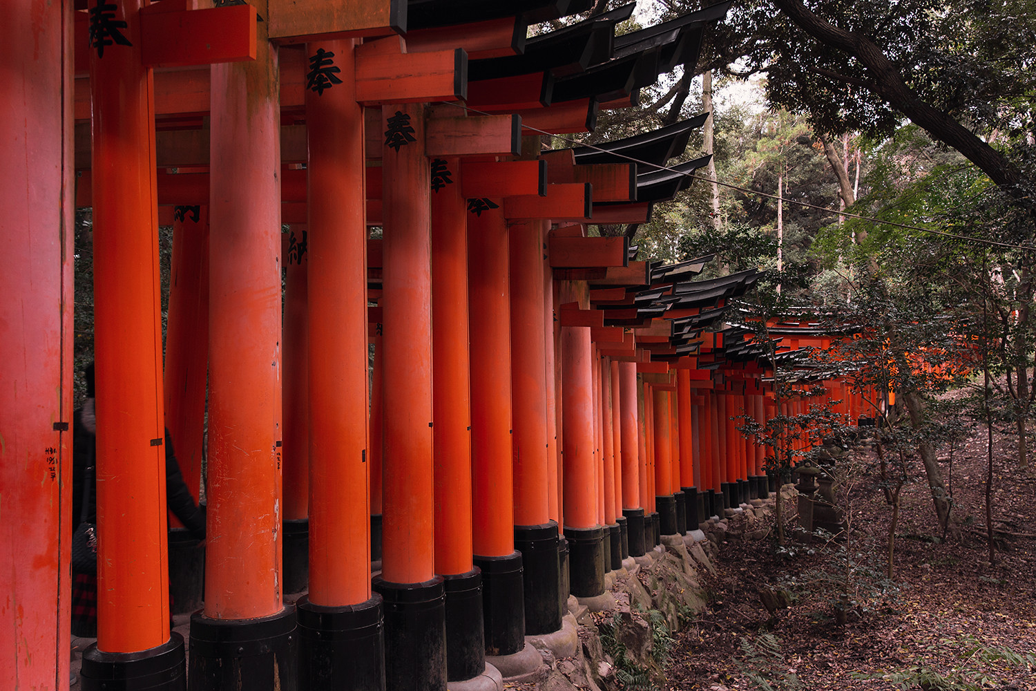 30kyoto-fushimi-inari-torii-shrine-architecture-japan-travel