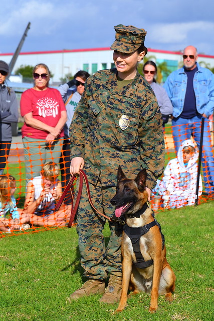IMG_3408 Military Working Dog Demo