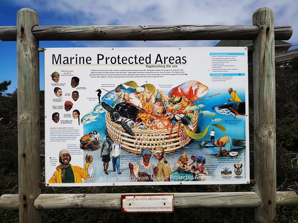 Information about nature and conservation at Stony Point Nature Reserve