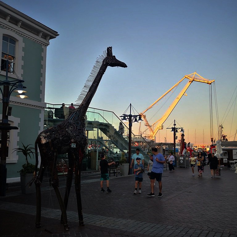 Giraffes and crane