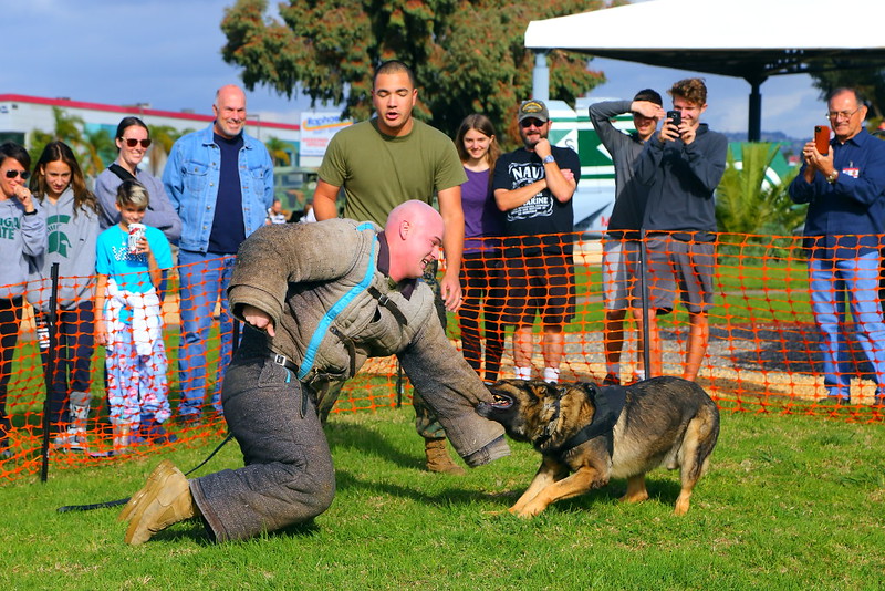 IMG_3356 Military Working Dog Demo, Flying Leatherneck Aviation Museum