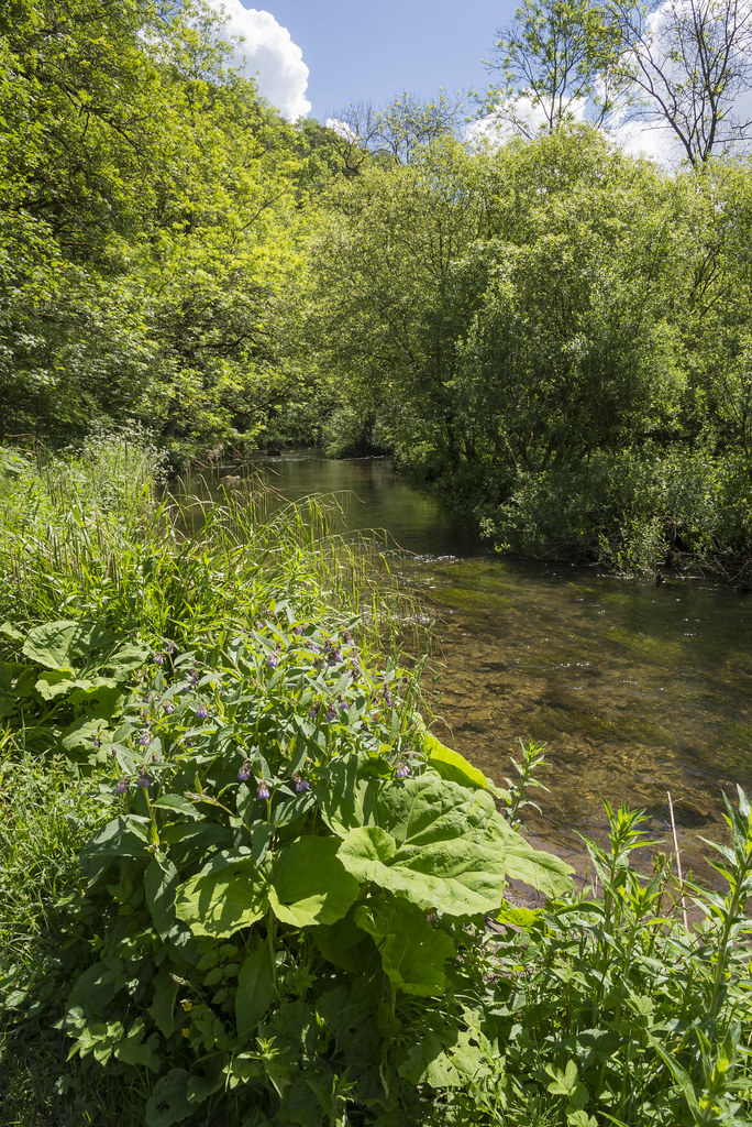 Millers Dale | More archive from beside the river Wye at Mil… | Flickr