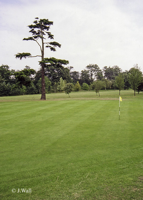 Aldenham Golf Club 1996 pic2