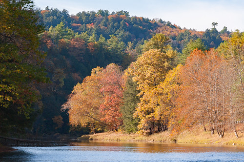 autumn clarionriver cookforest d700 fall lightroom nikon pa pennsylvania sepan statepark sunlight trees water