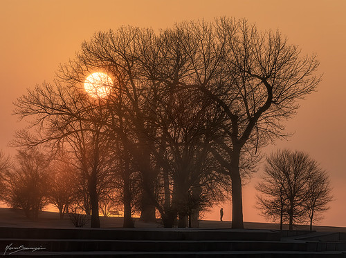 spasojevic sonyimages nenografiacom explore calm sonyalpha pier lake minimal people abstract exploration 2020 windycity animal astepbehind reflection nenadspasojevicart lakemichigan sony sunrise sun morning person foggy nenad a7riv iluminated city color perspective water a7r4 chi fog connection sunlight trees mood light chicago