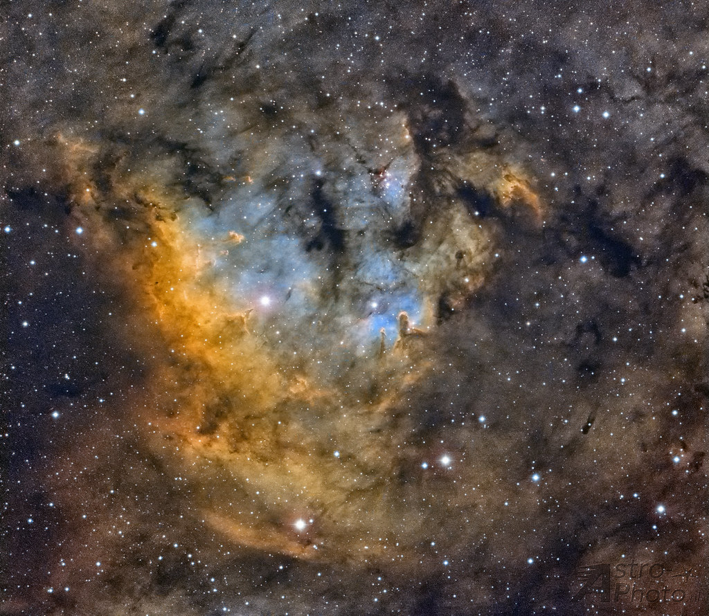 NGC7822 / Cederblad 214