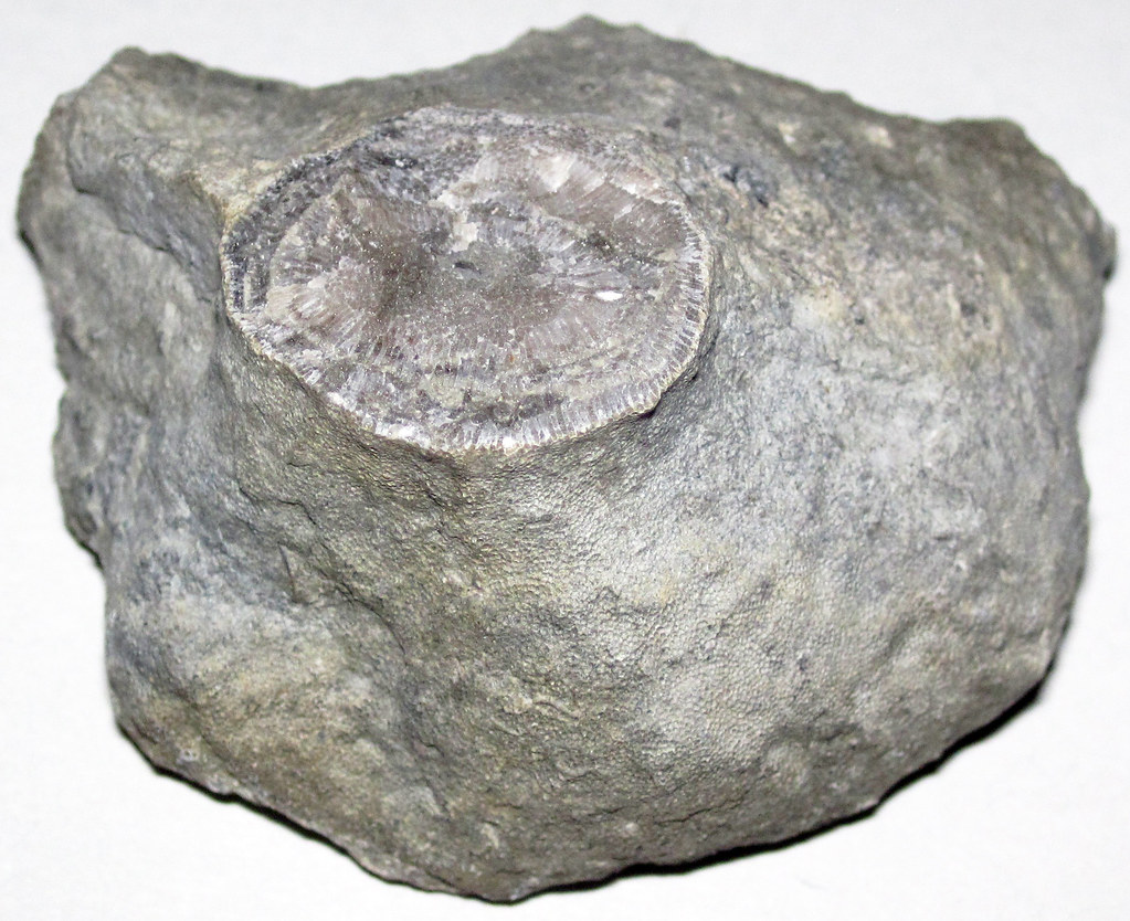 Tiny Rock