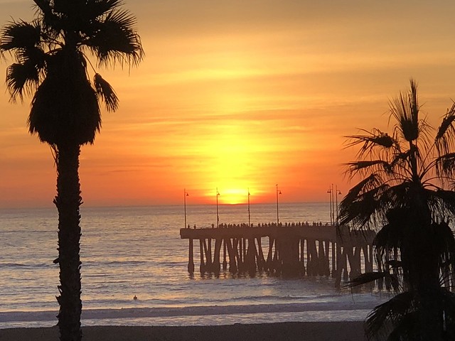Venice Cal Sunset