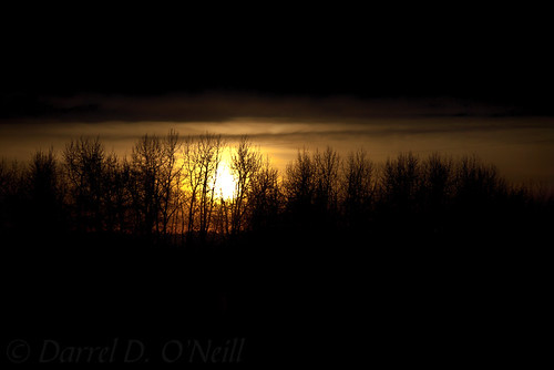 landscape trees copse windbreak sunset cloud glow silhouette black white yellow golden alberta canada prairie