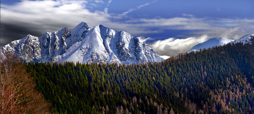 tramite il bosco | by art & mountains