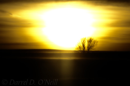sunset silhouette glow landscape minimalism white black yellow golden prairie snow winter tree alberta canada power lines