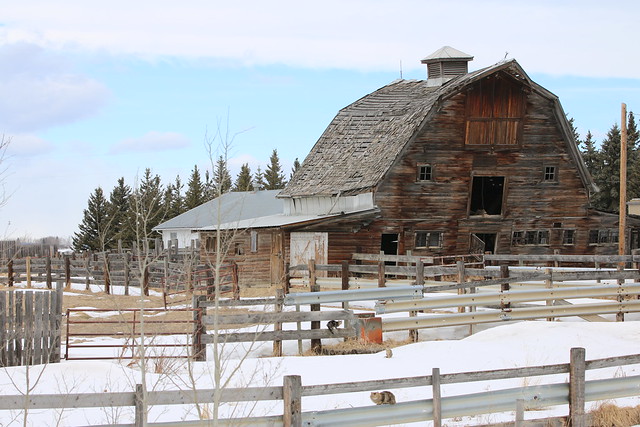 Barn hunting In Alberta march 2020