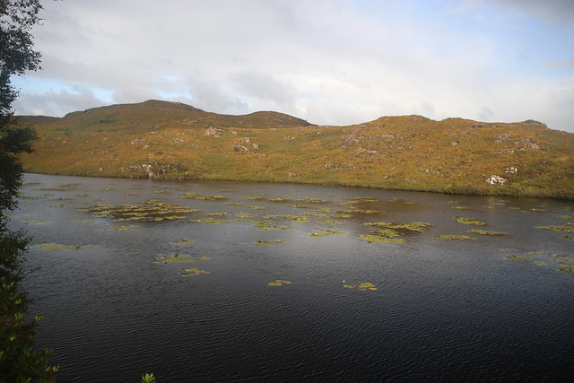 Lochan na ba Caoile