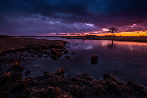 kristianohlssonphotography nikonkrille longexposure clouds falsterbo sweden tree water blue sunrise sunset seascape landscape