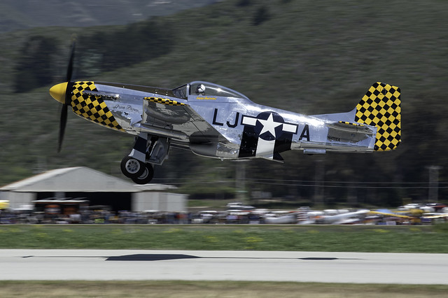 P-51D Primo Blanco Taking Off