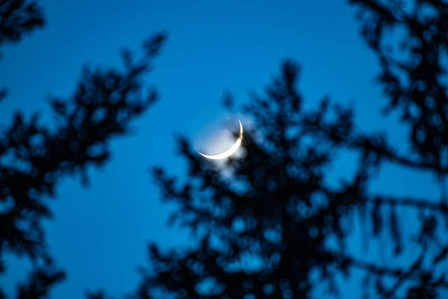 Croissant de Lune |  Crescent Moon