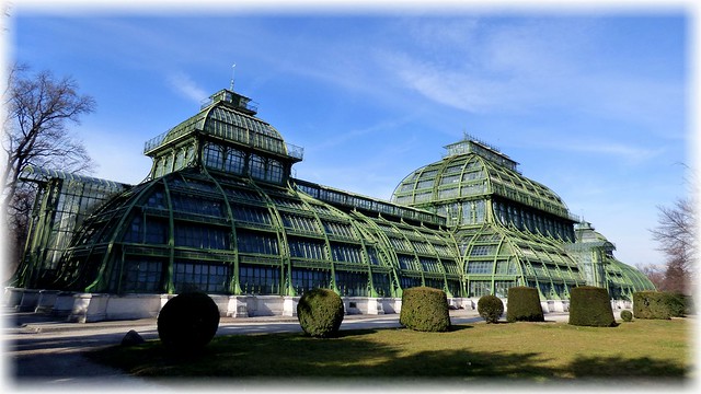 Palmenhaus in Schönbrunn, Wien / Palm House in Schönbrunn, Vienna