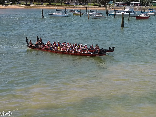 Tourists getting taste of Maori waka or canoe, Paihia, North Island, New Zealand