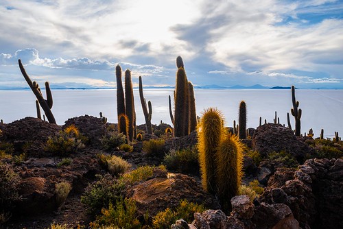 Incahuasi_FAV0968 by felix velasquez, Is a hilly and rocky outcrop of land and former island in Bolivia located in the middle of Salar de