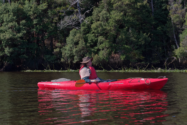 Canoeing on the Pieman River