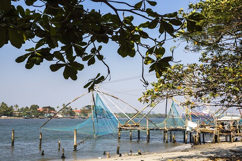 fortkochi cochin india indian kerala travel traveler wanderlust sea ocean shore coast fishing net nets trees landscape