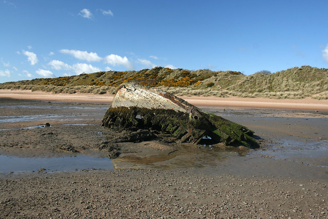 The beach at Newburgh