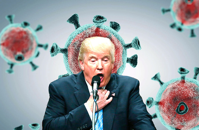Trump: Corona Virus is a Hoax!