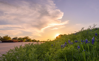 Sunset at the Flower Mound