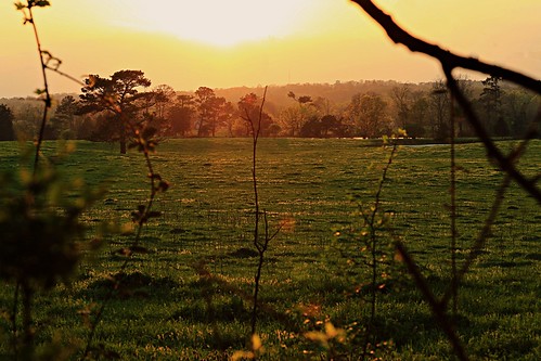 pasture sunset tennessee