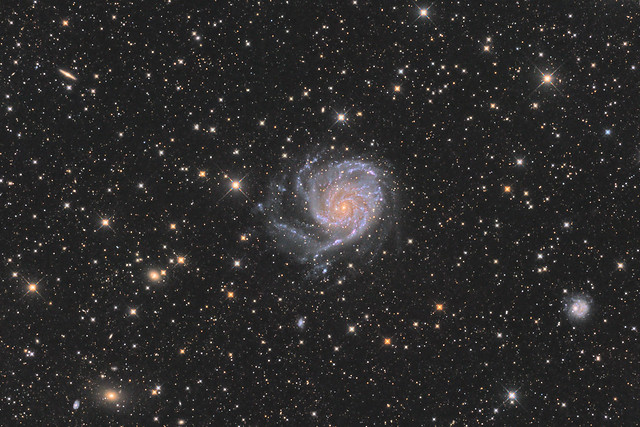 Pinwheel Galaxy and its friends