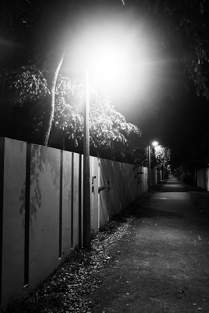 092/366: night walks (stumbling into dream territory)