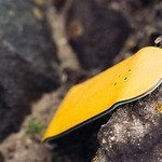 Systeam Fingerboard - Yellow Blank Deck