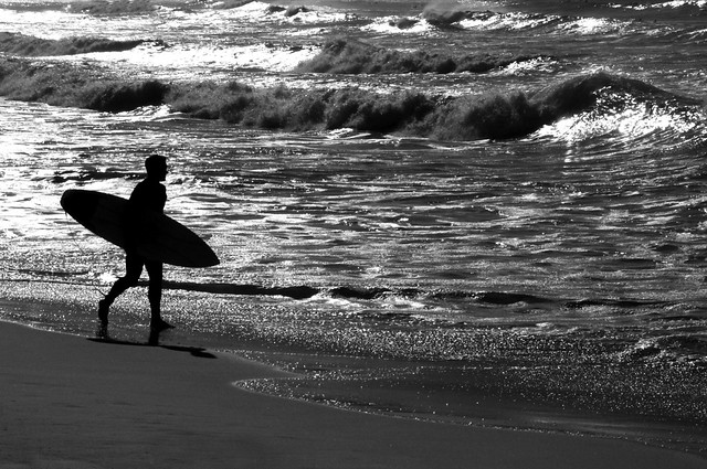 the surfer (bondi beach - sydney, australia)