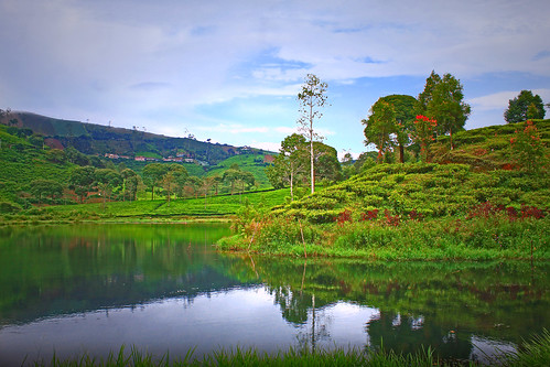 cukul pangalengan landscape sky cloud lake tea plantation
