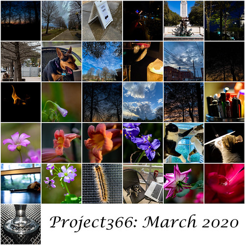 Project 366 March