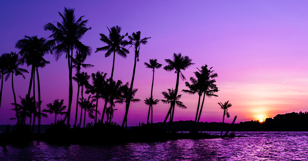 Purple sunrise