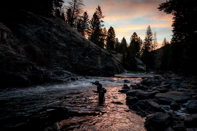 Fly fishing the Gallatin at dusk
