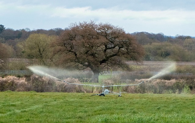 Irrigation and the oak tree. S.E.Staffs.